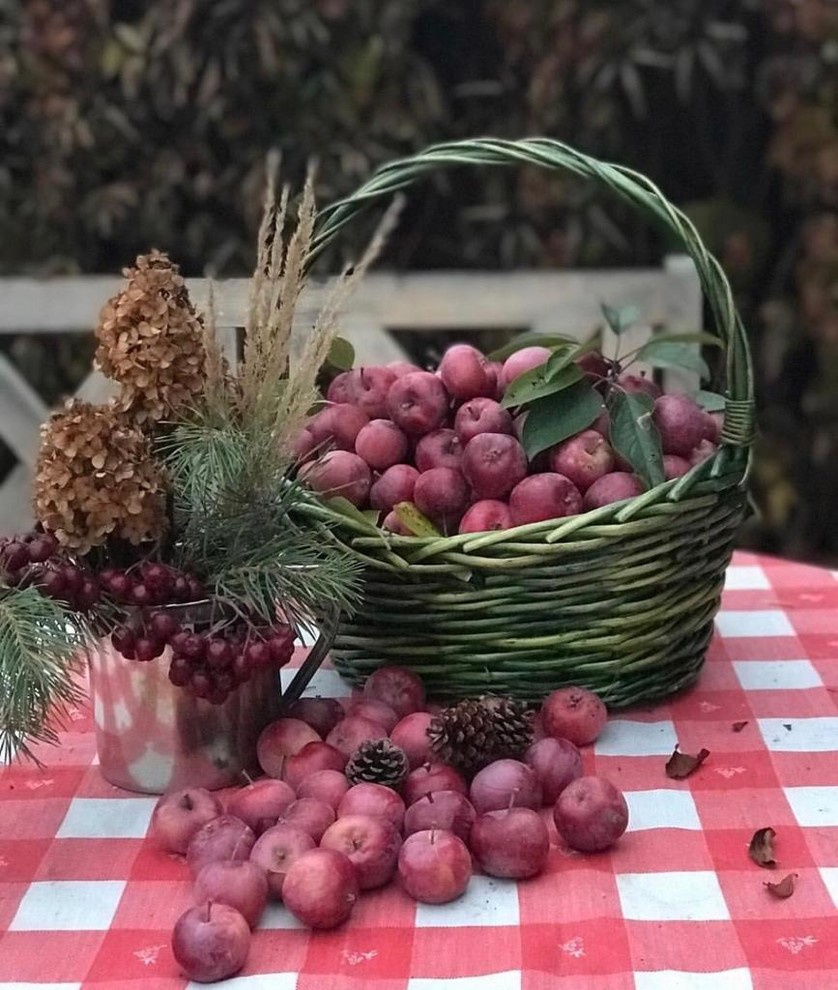 Сад "Каликат"