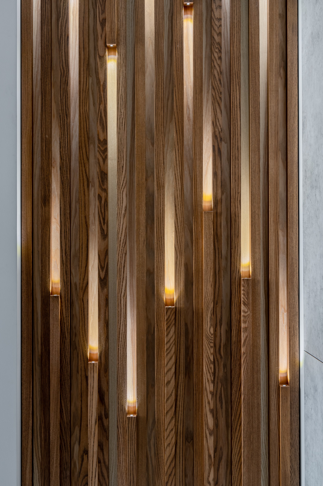 Обложка проекта: Стеновая панель с торцевой подсветкой - Ясень