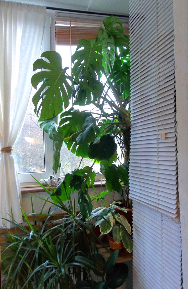 Балкон в средиземноморском стиле