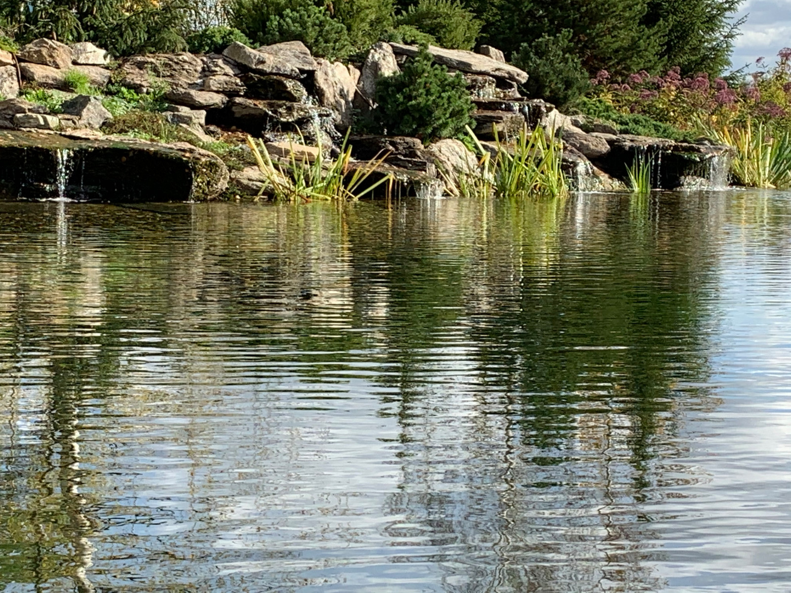 Ландшафт в поселке "Бенилюкс"