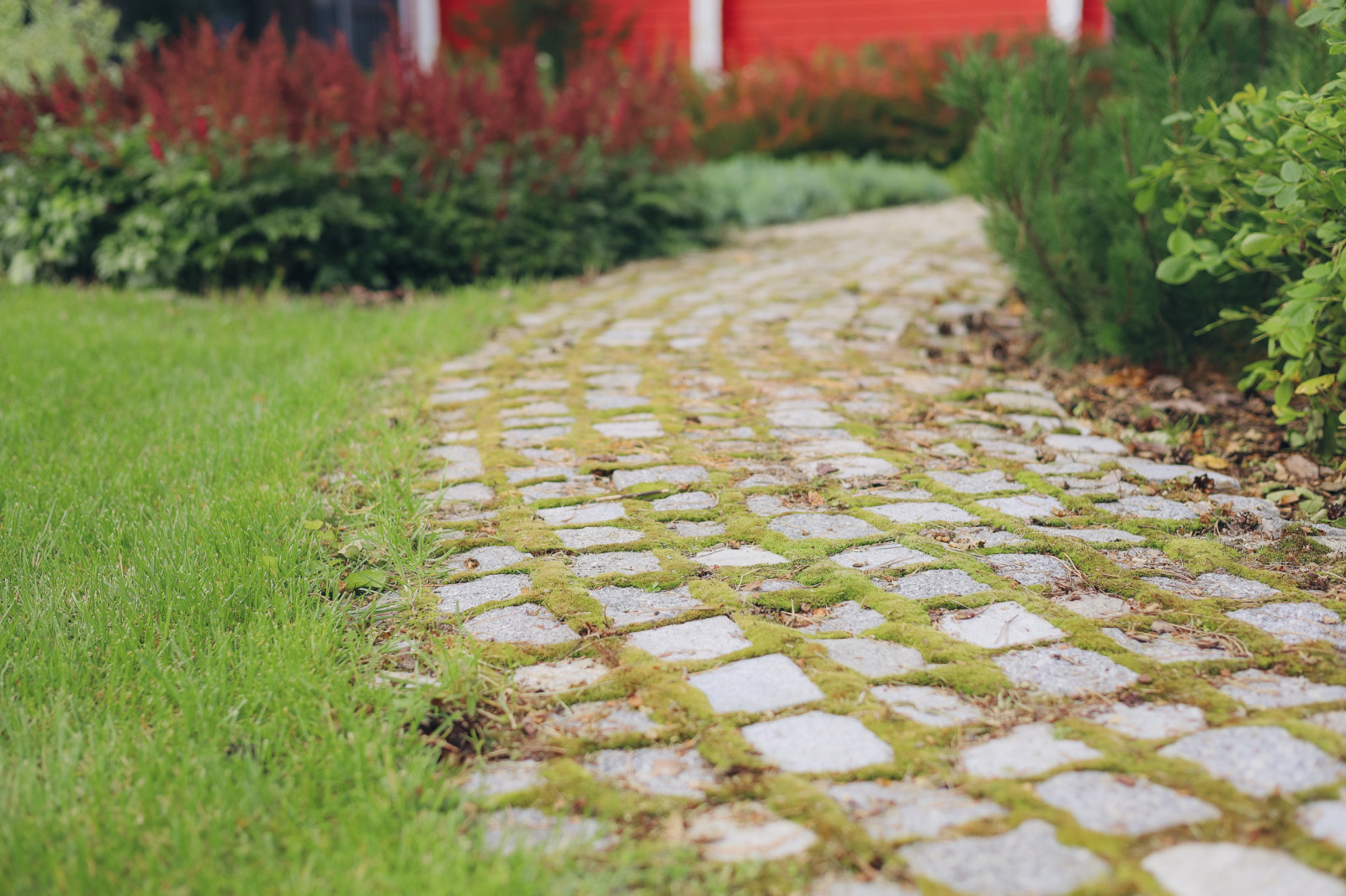 50 оттенков красного