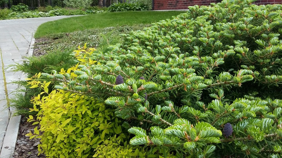 Сад  на холмах