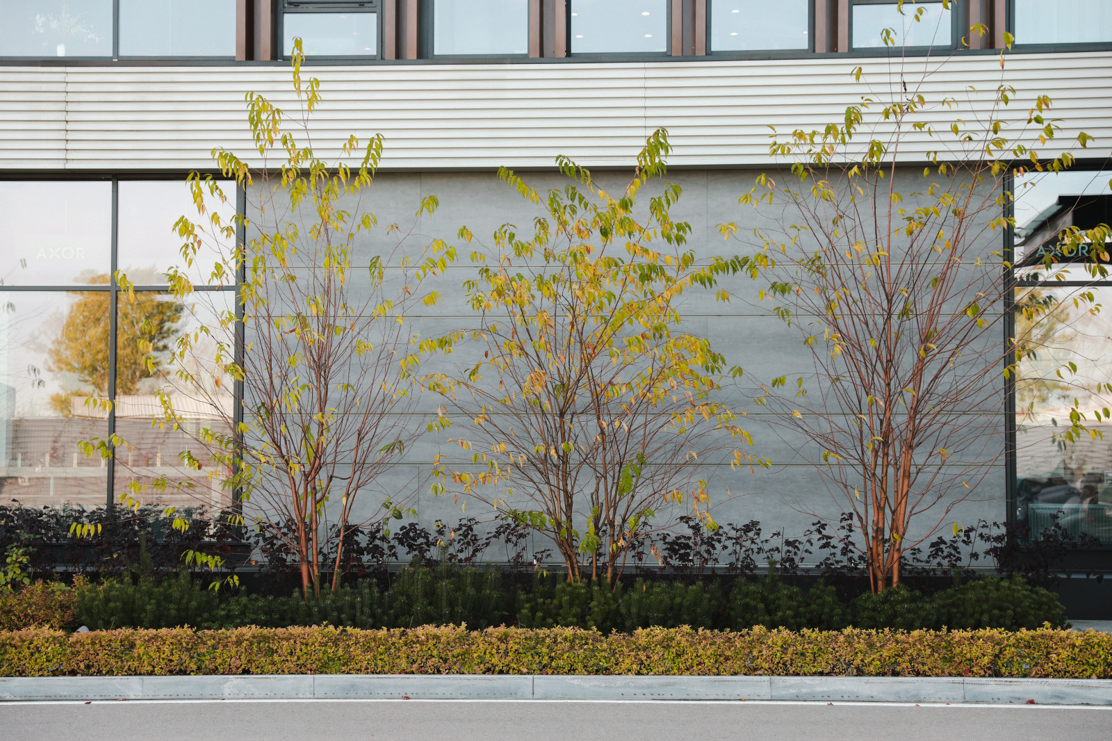 Оформление территории у офисного здания