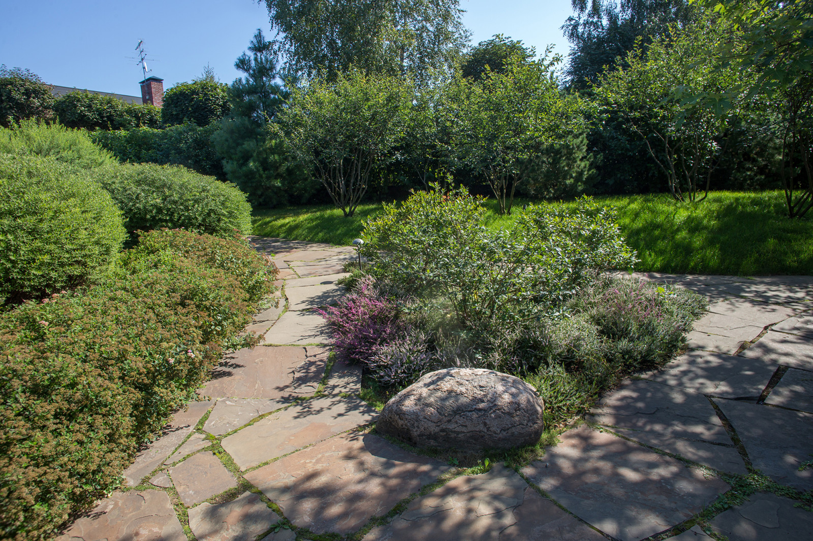 Garden of Elena Astashkina in Moscow Region