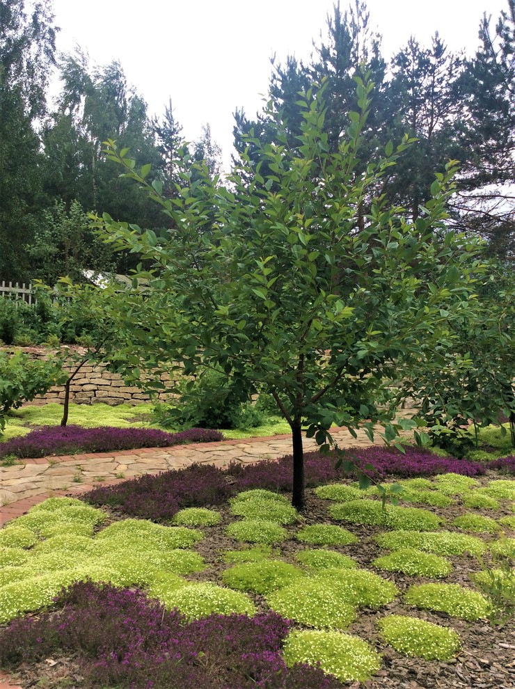 Полет Шмеля 2