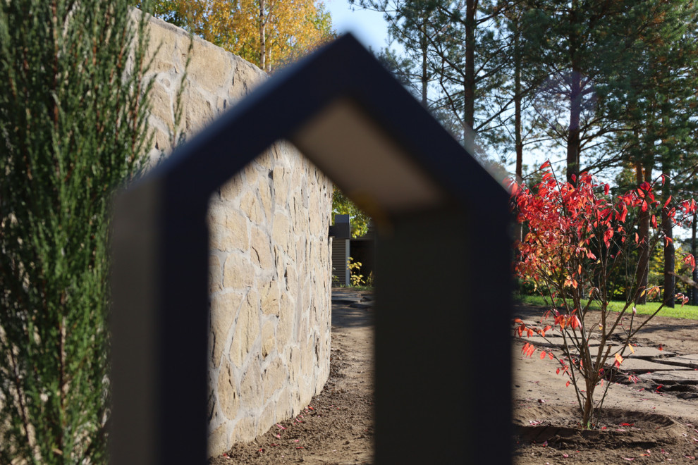 Сад для черной кошки и белого кота