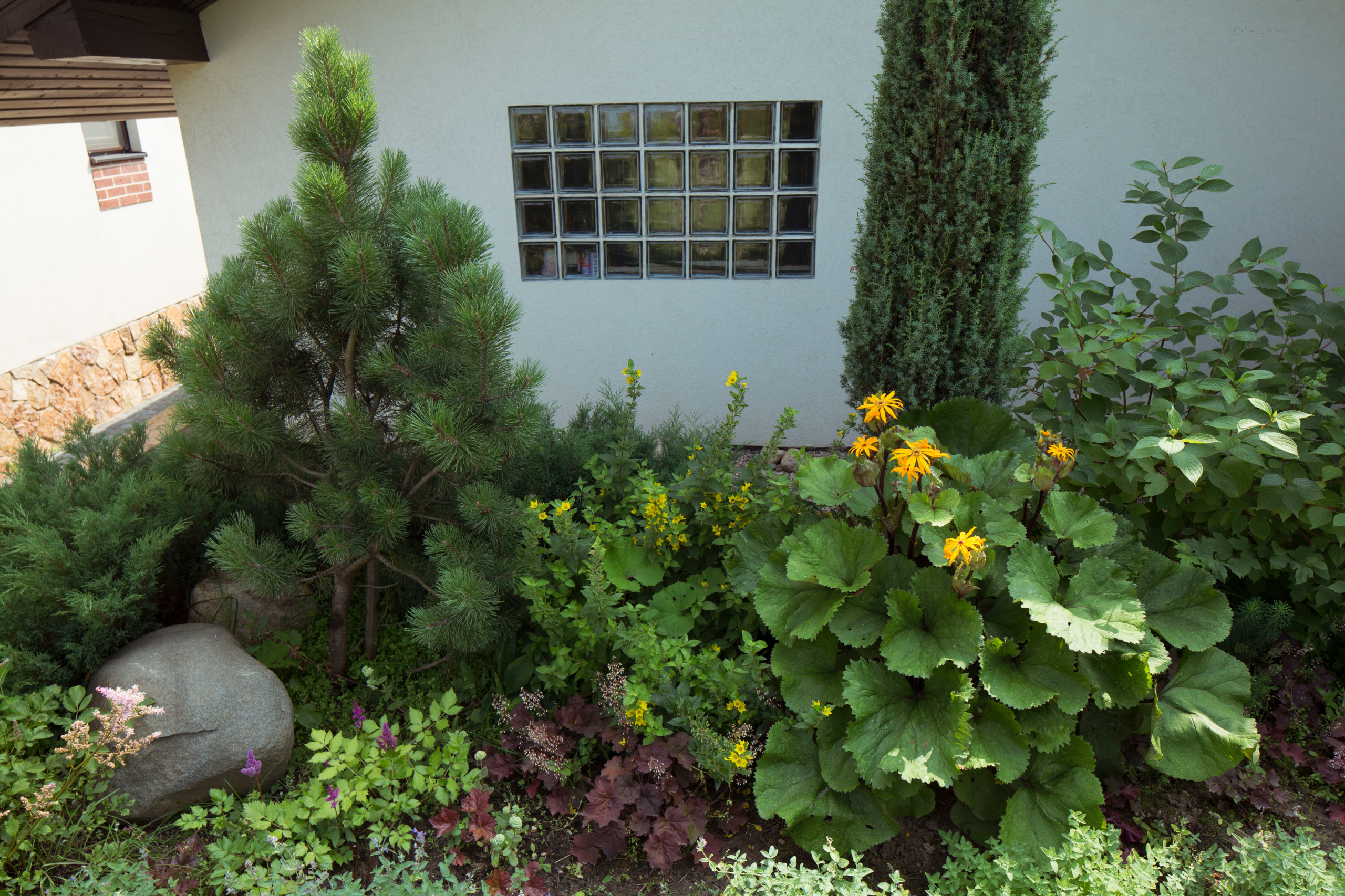 В гостях: Участок с фамильными дубами и баней в срубе