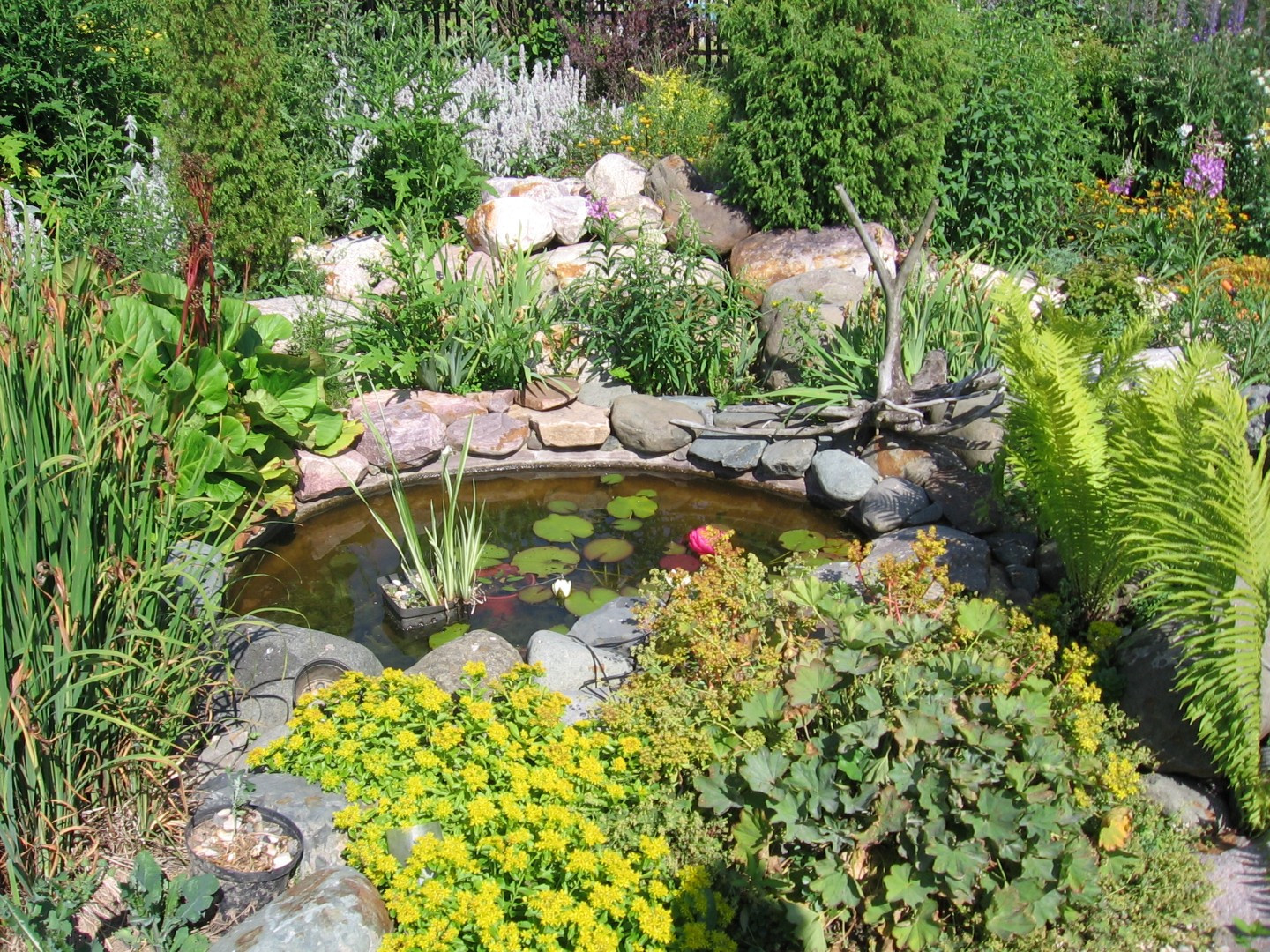 Тропинка в прошлое