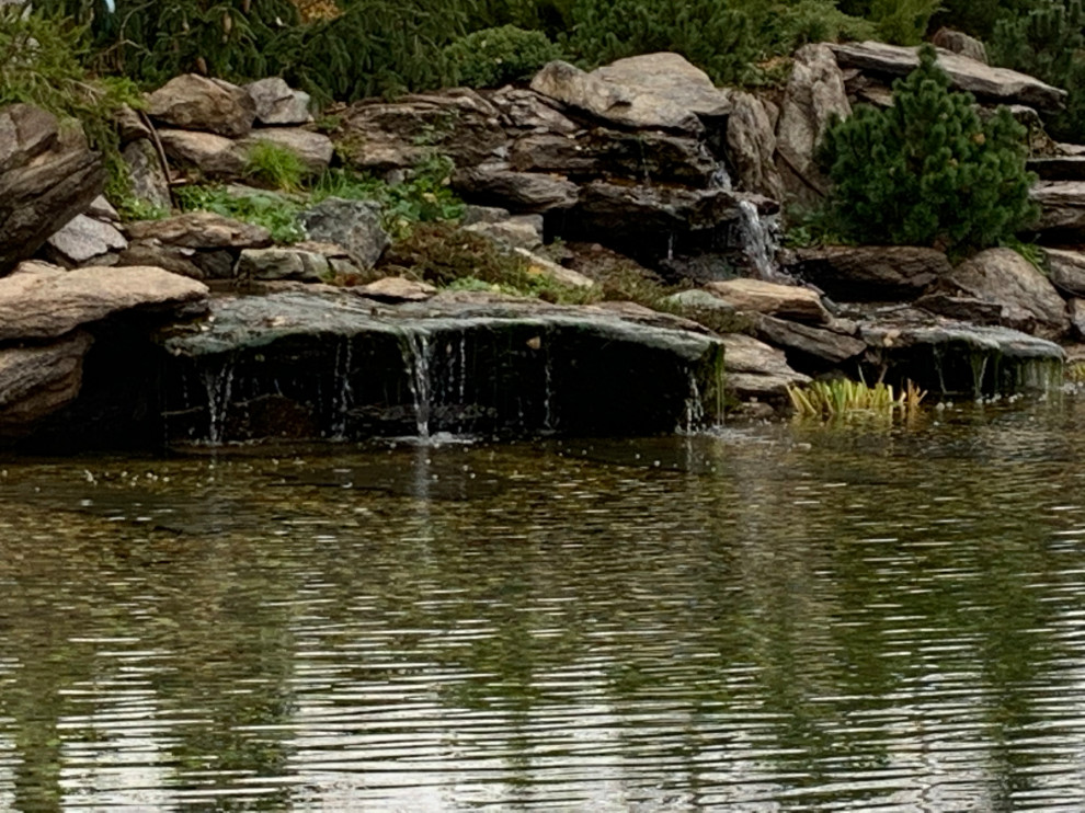 Ландшафт в поселке "Бенилюкс"