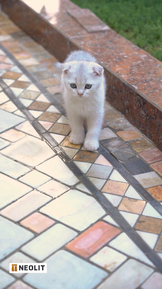 Обложка проекта: Premium stones for houses