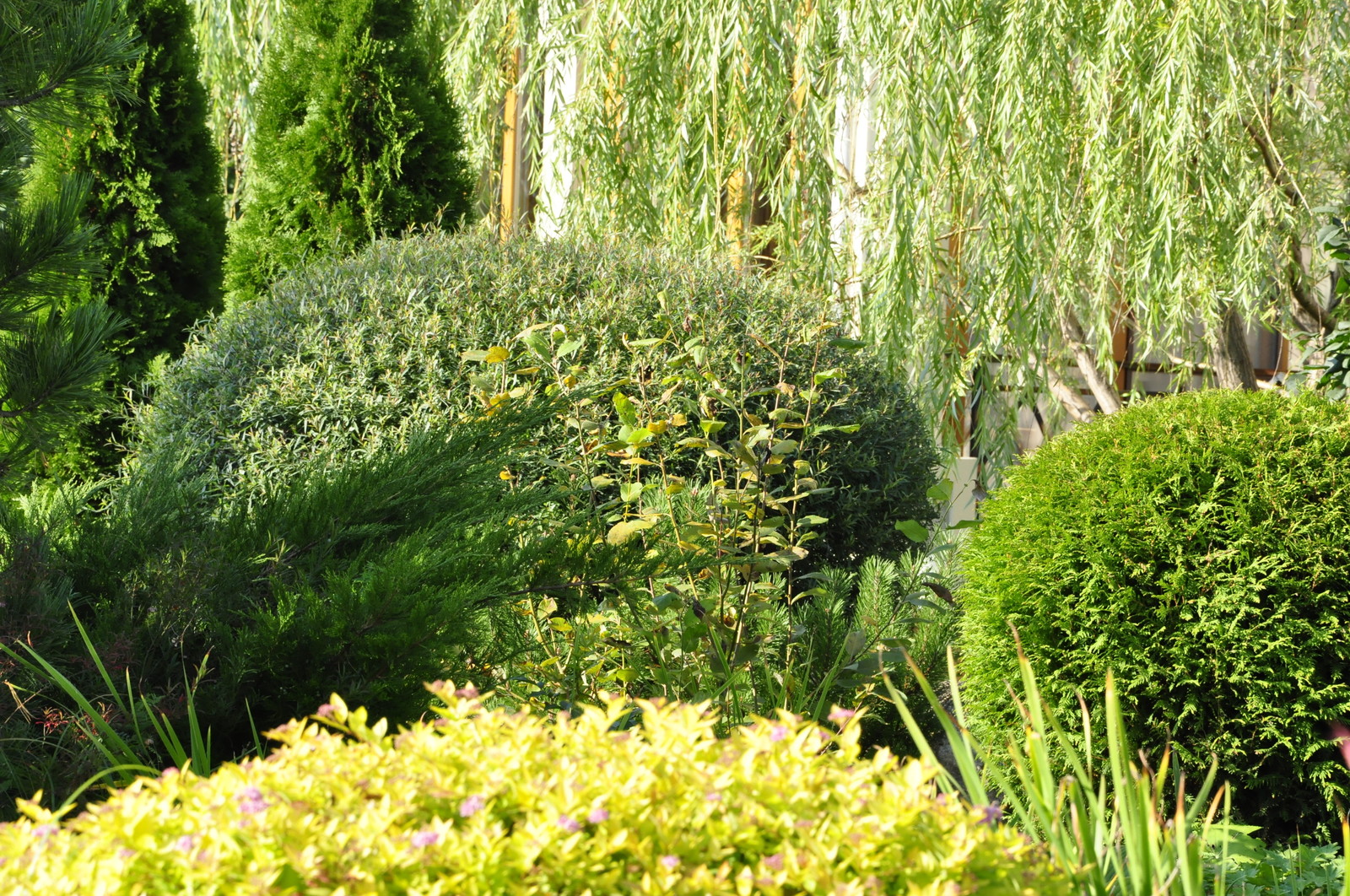 кп "Бенелюкс" - Уход за садом - 100% качество