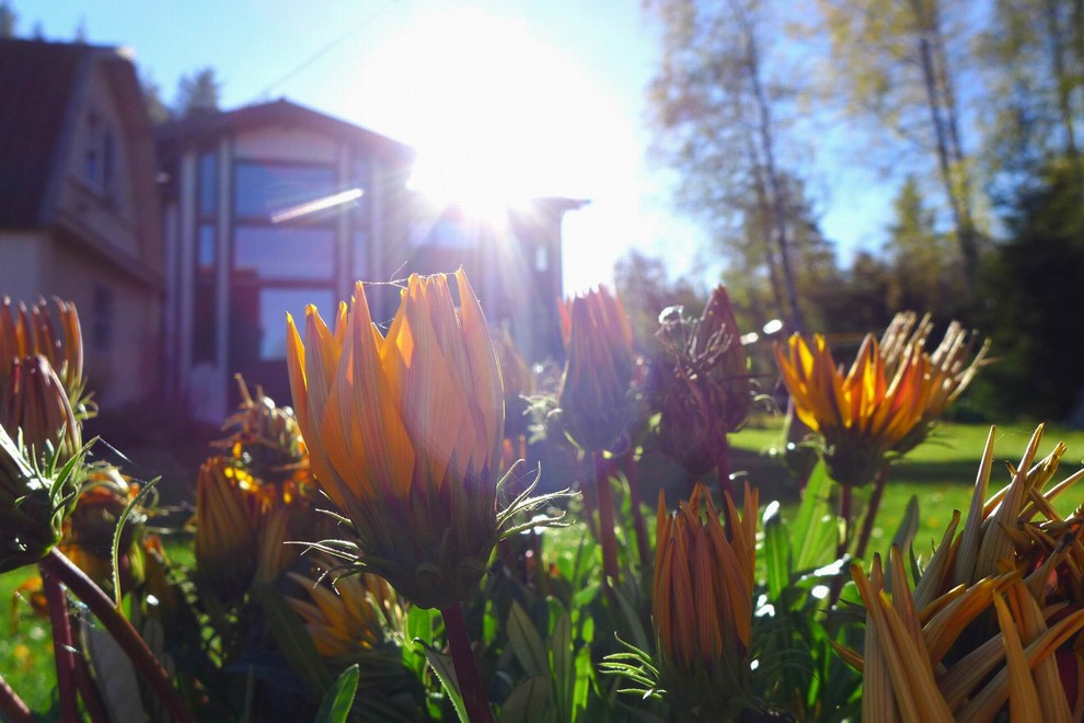 Дом для внуков 470 кв.м.