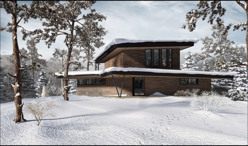 Photeralistic rendering (Siberian House)