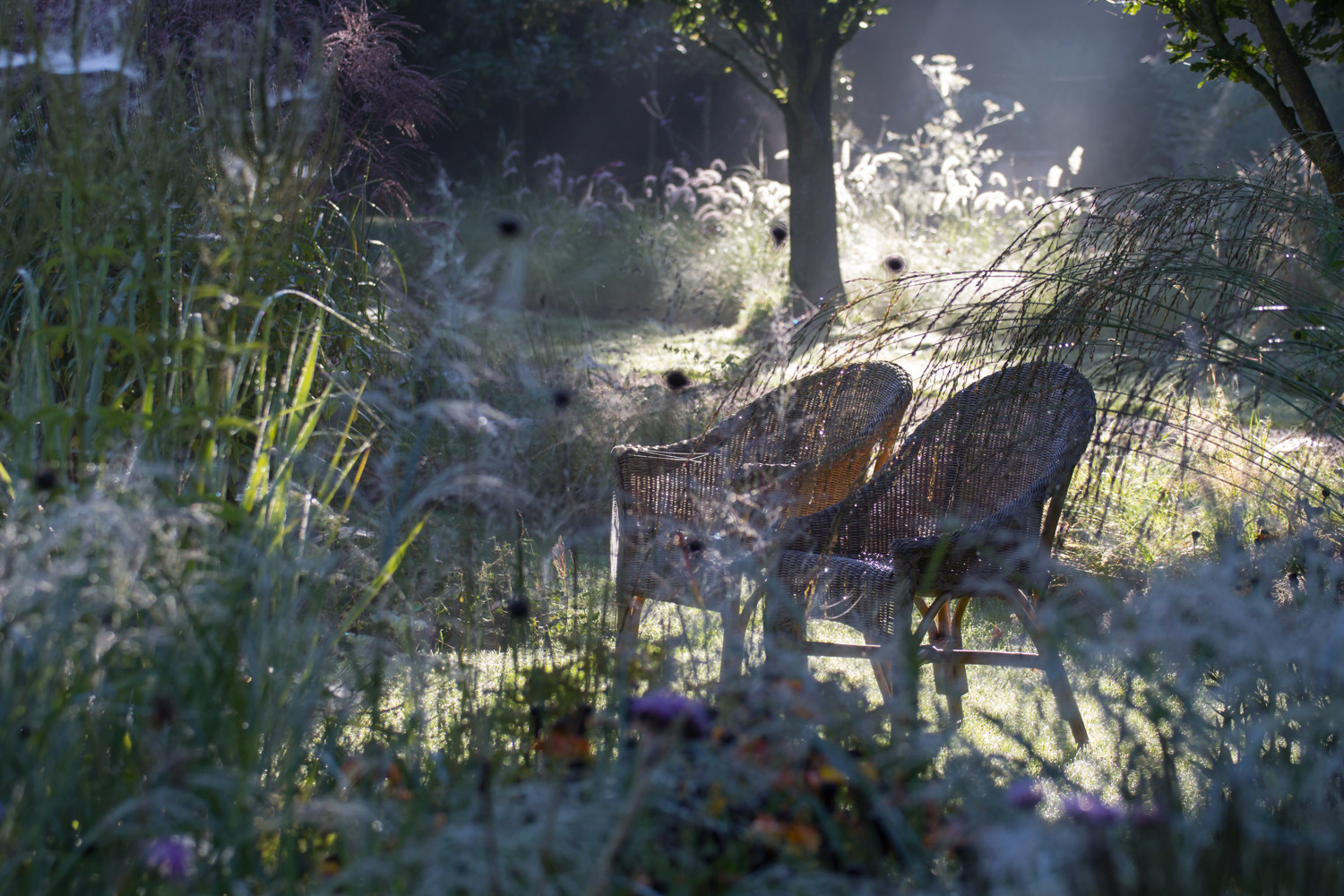 Houzz Нидерланды: Якобстуин — очаровательный сад Яапа де Вриса