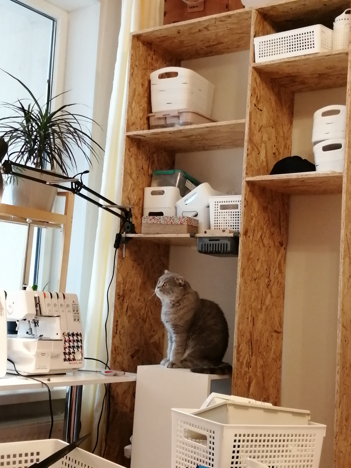 Обложка проекта: Стеллаж- рабочее место швеи