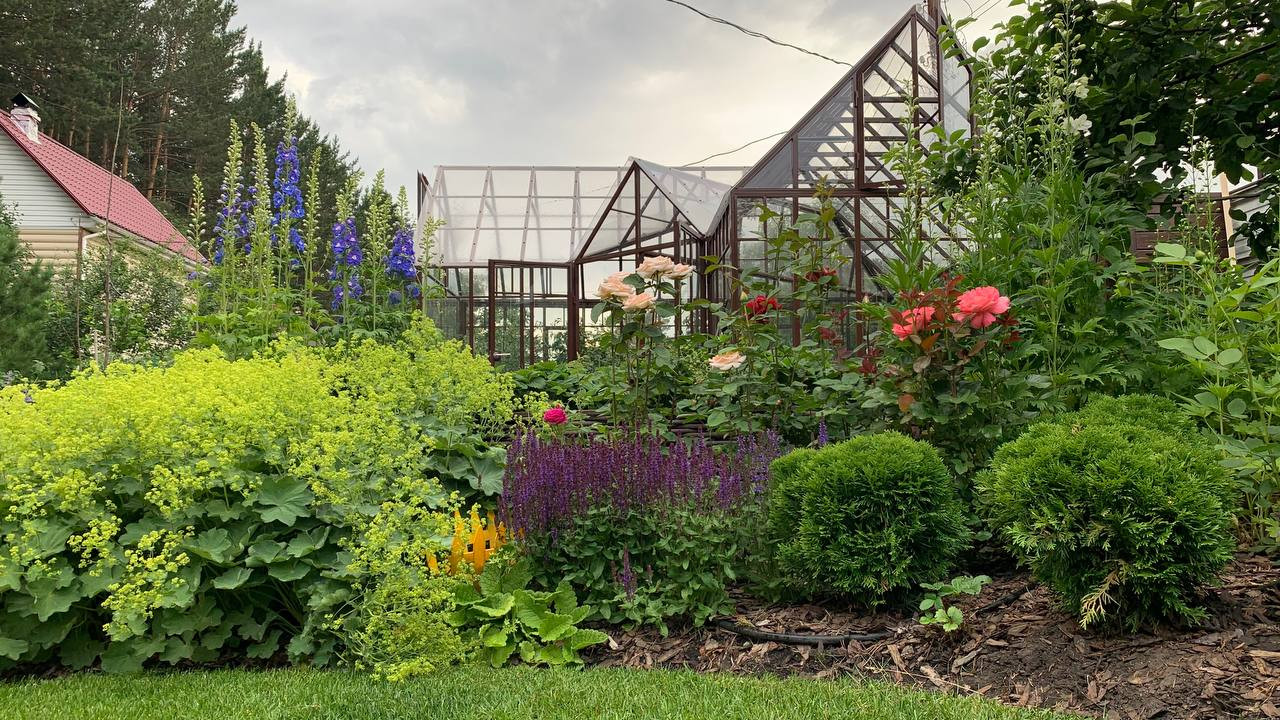 Реализованные проекты