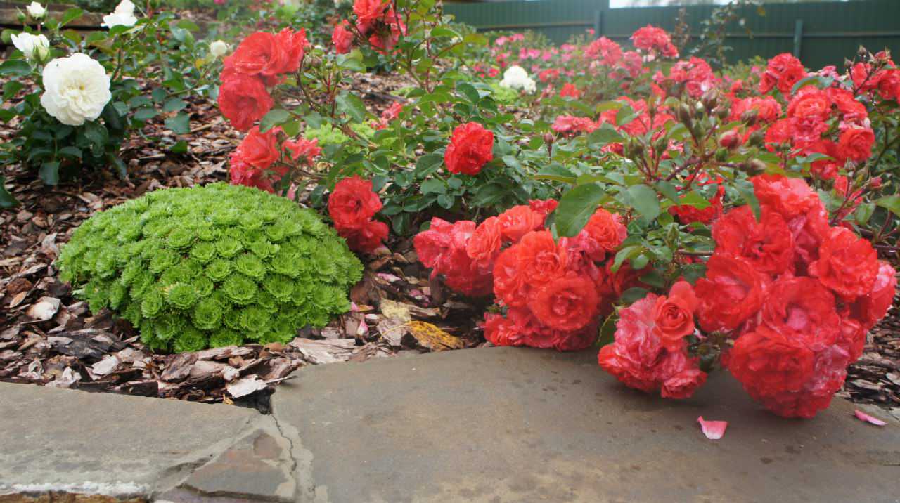 Сад  на холмах