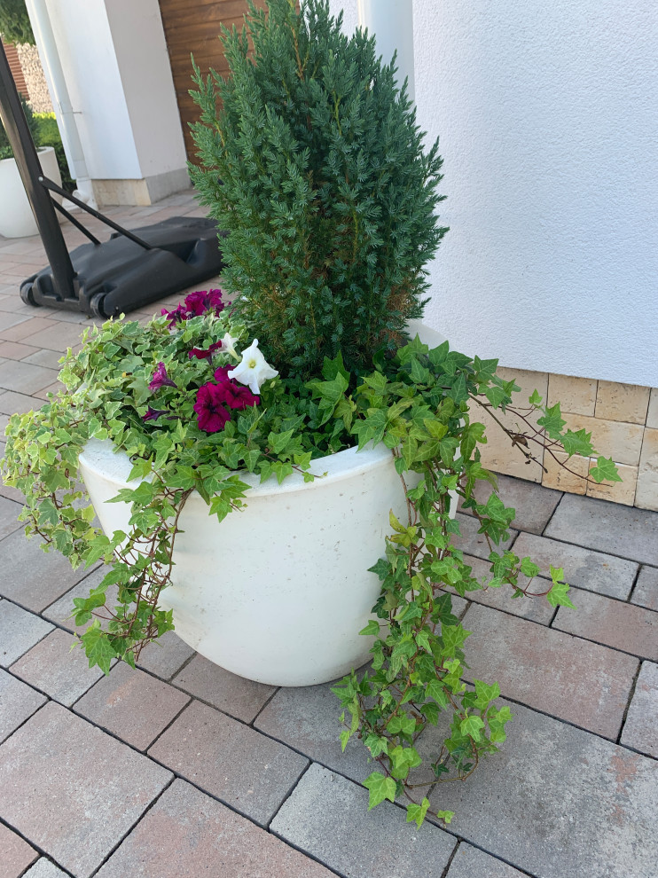 Современный сад для семьи