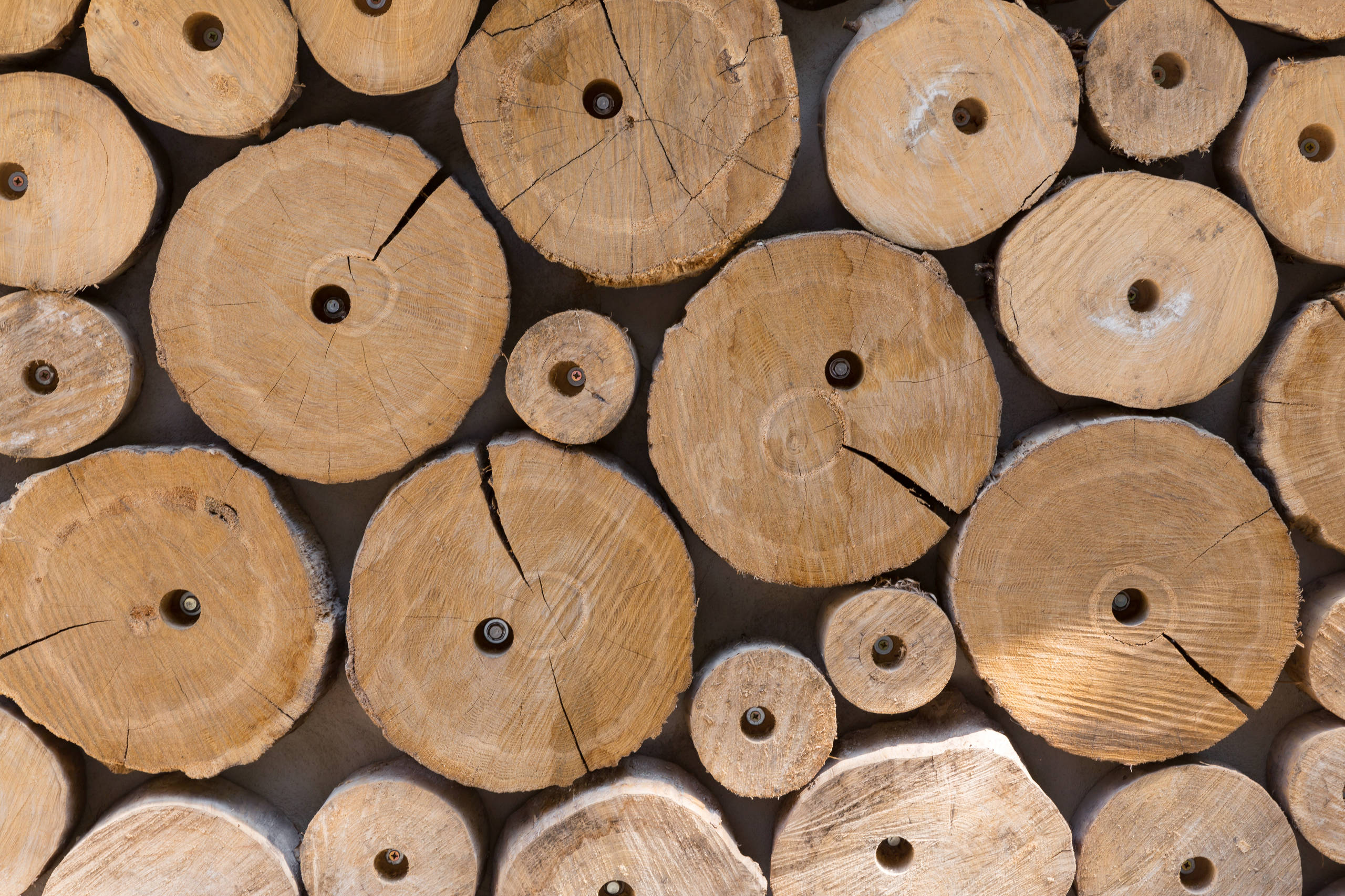 В гостях: 1/4 сферы — и это дом в Москве