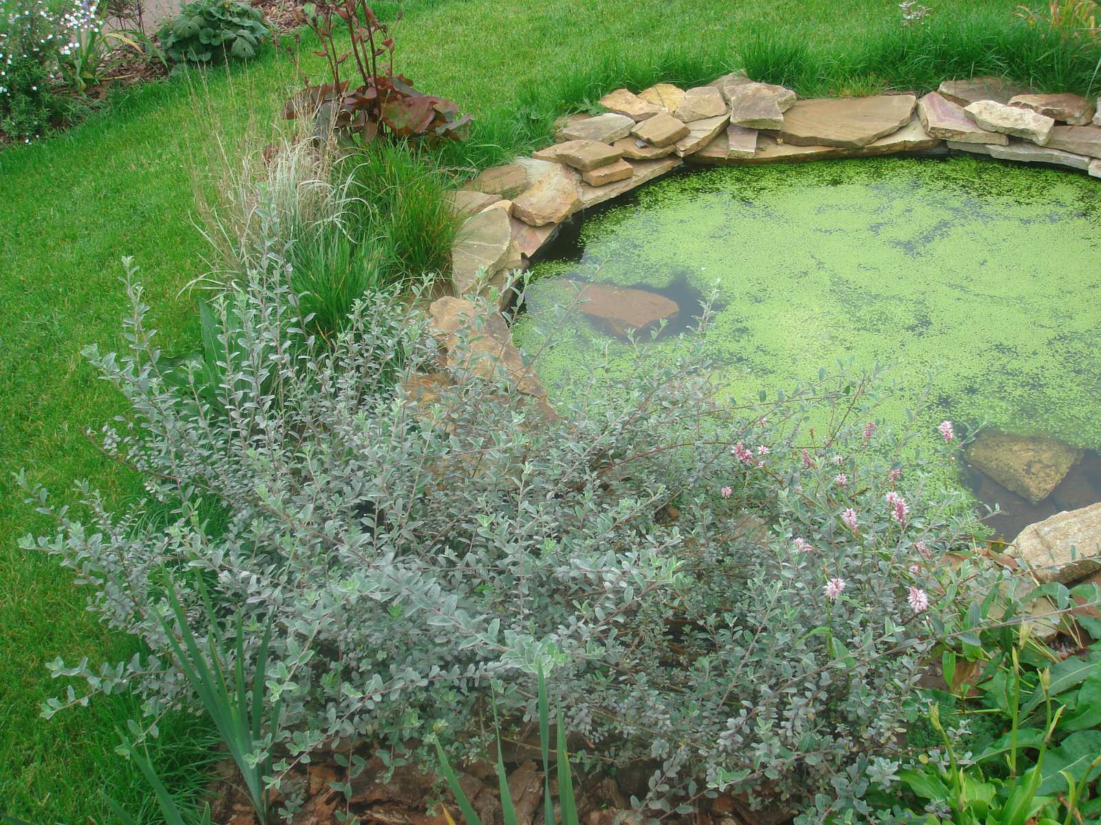 Сад в стиле кантри