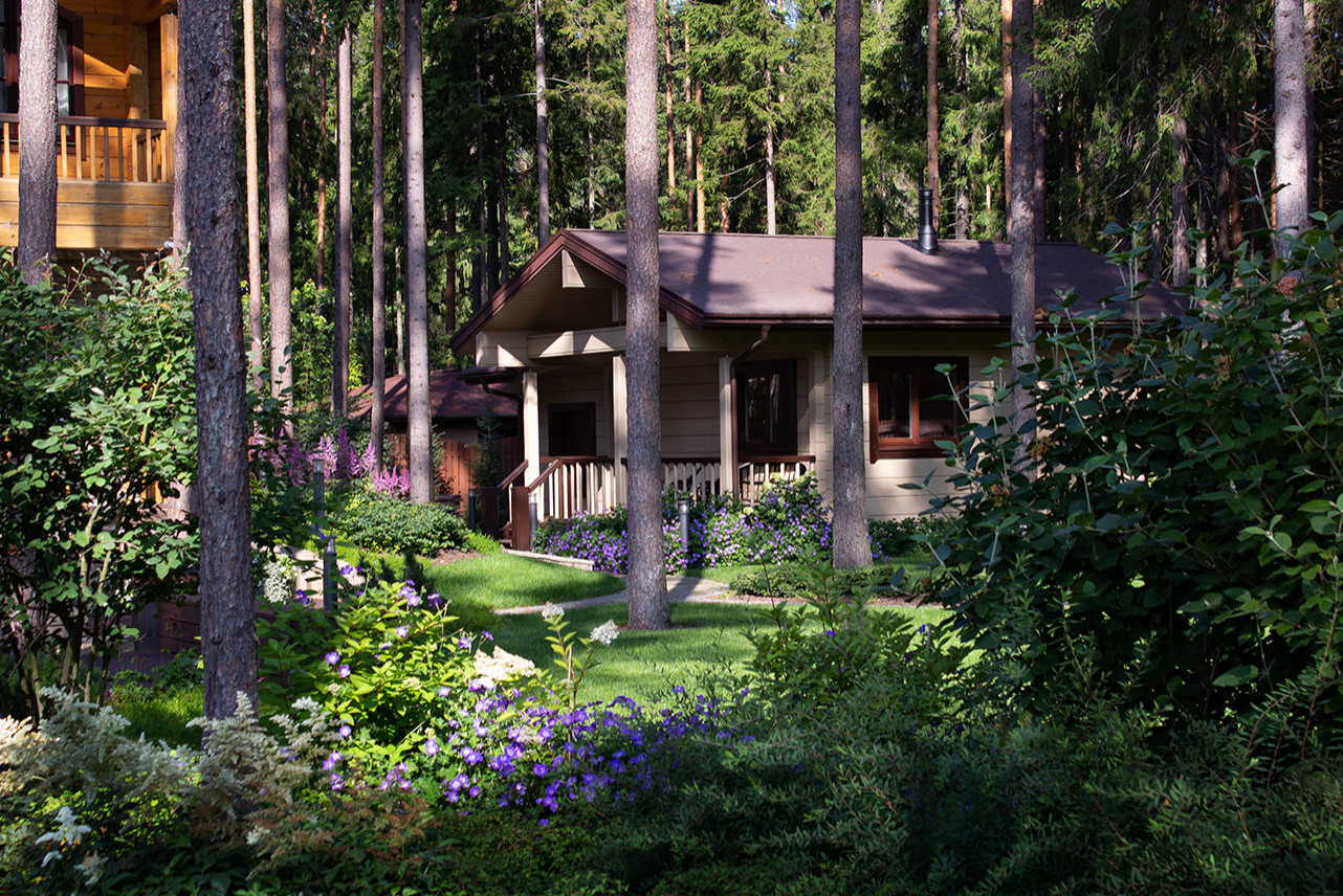 Еловая аллея