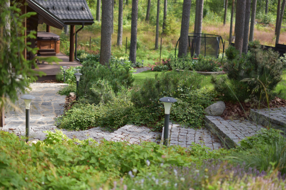 Сад в Карельском лесу