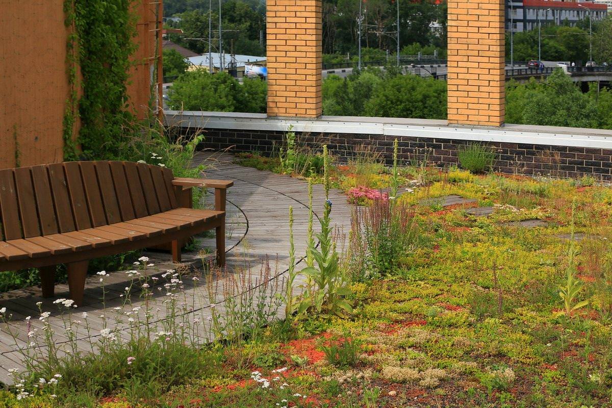 Сад на крыше