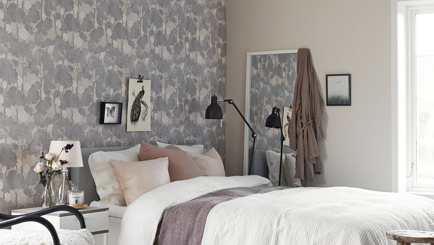 Колотов Дмитрий