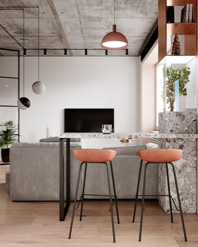 Minimalism Apartament