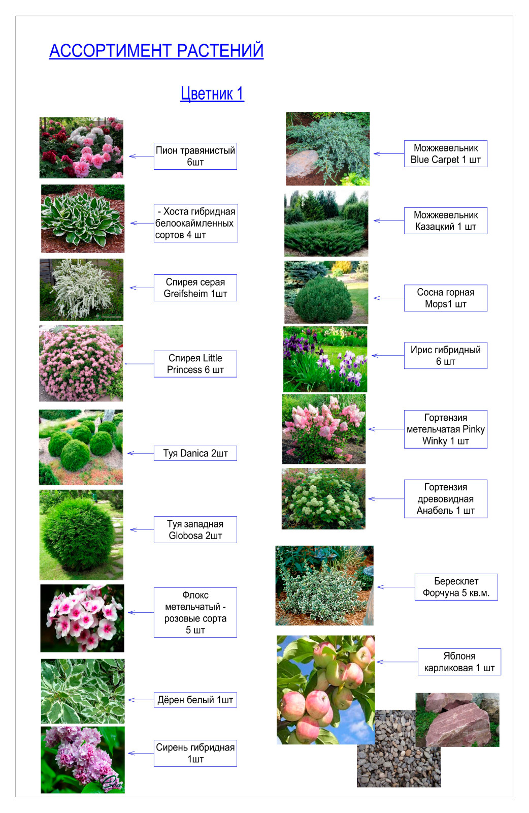 Ассортиментная ведомость