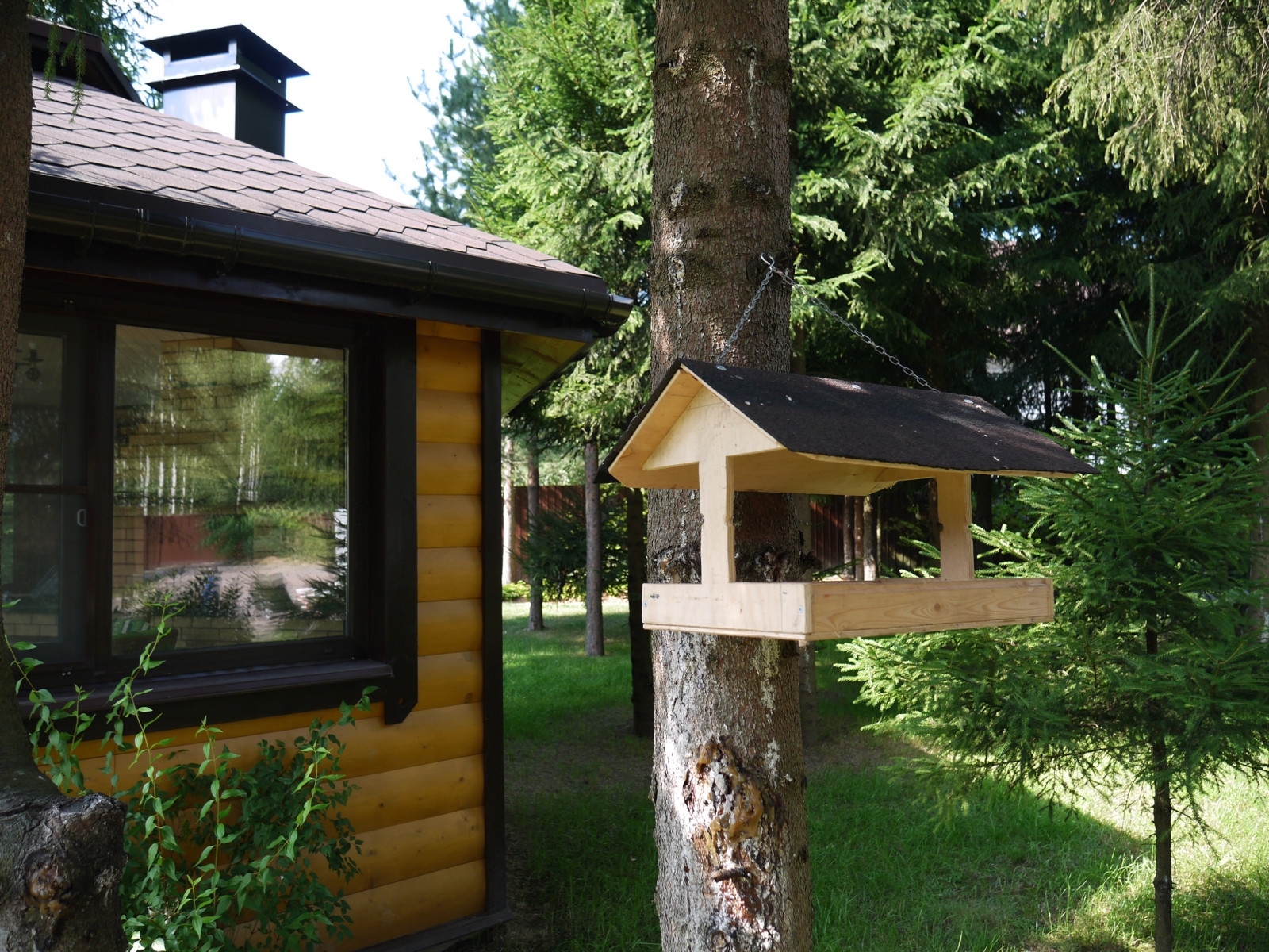 Белоостров