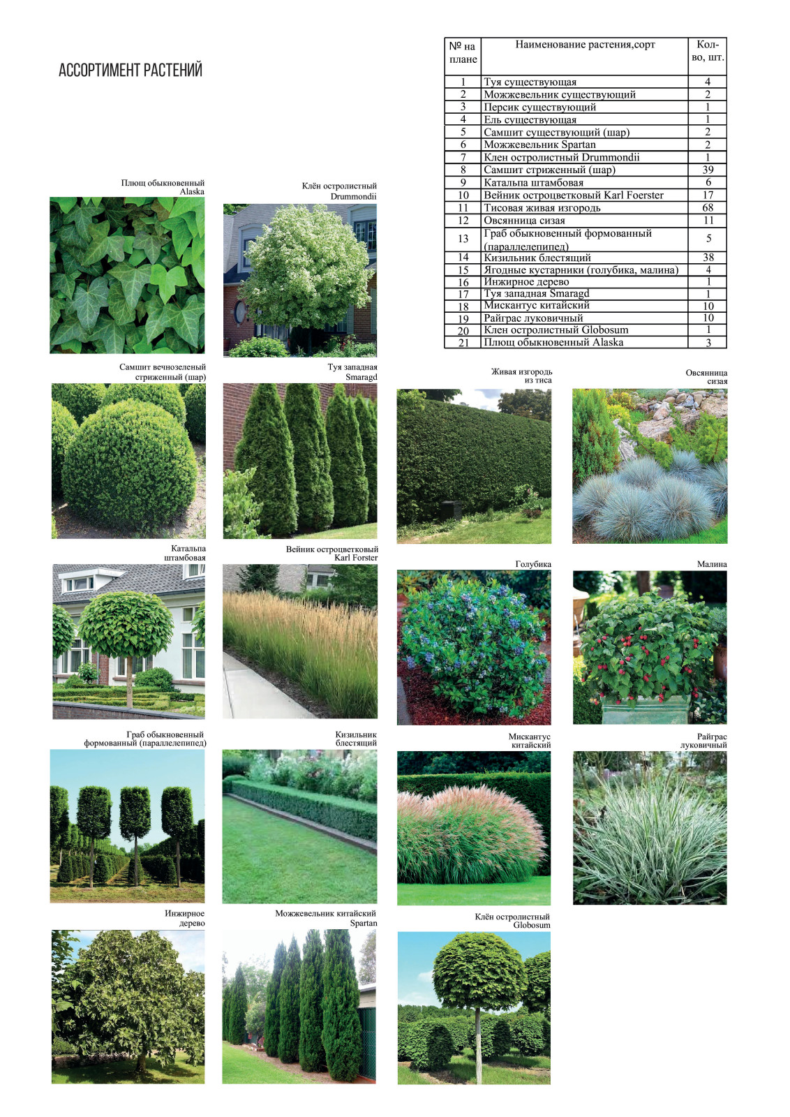 Частный сад Литейная