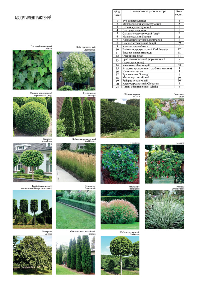 Частный сад Литейная