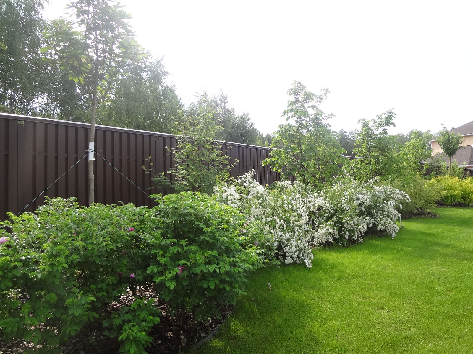 Сосновый бор