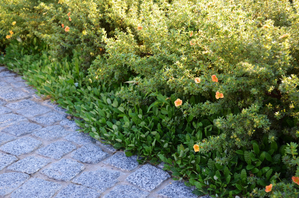 Итальянский сад в КП Европа 2013 г