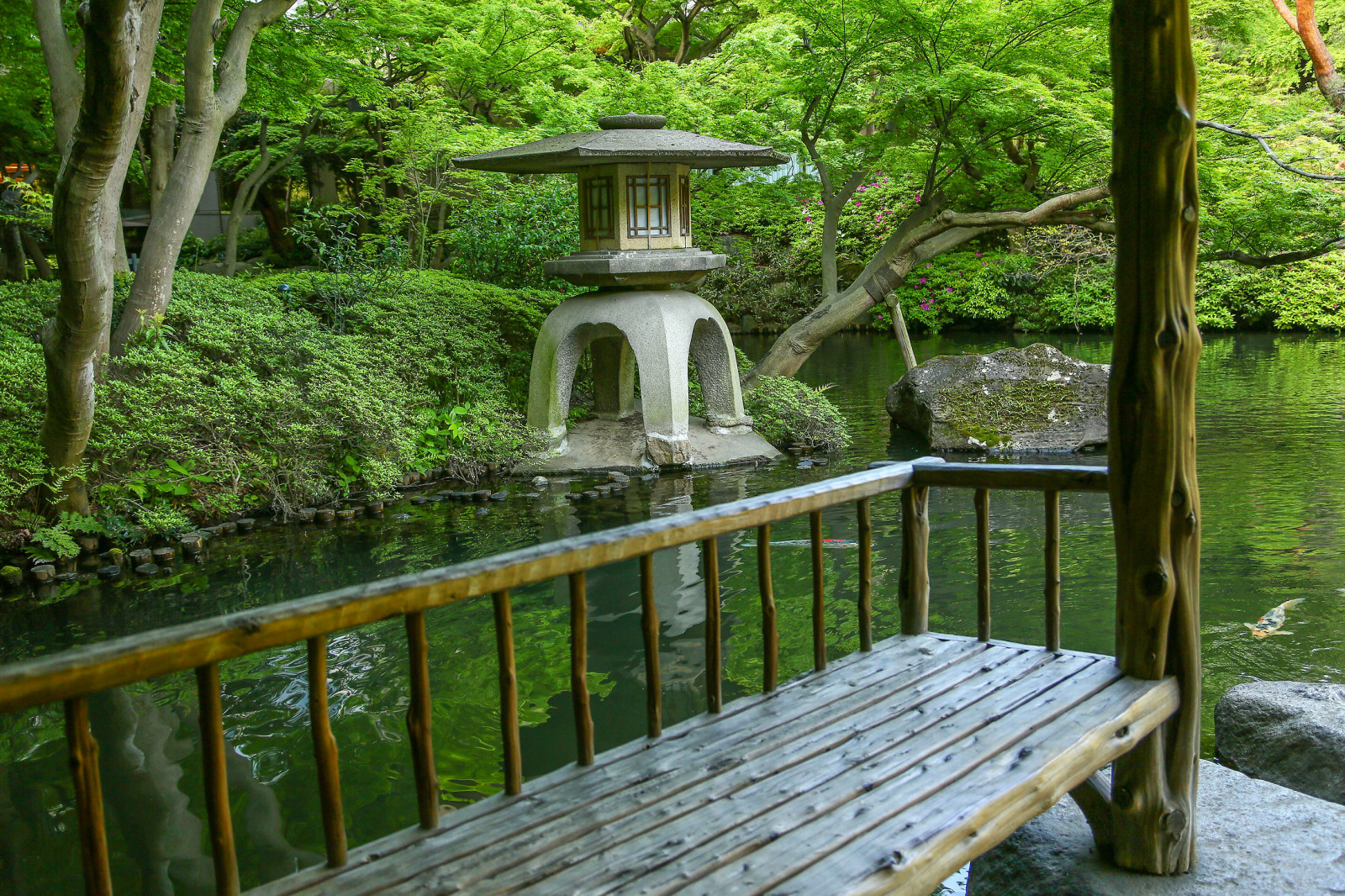 Обложка проекта: Исторический сад Happoen Garden, Tokyo, Japan
