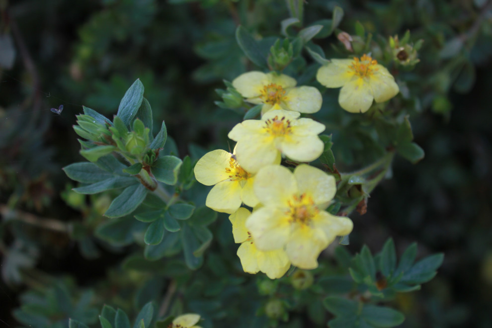 В гостях у Сказки