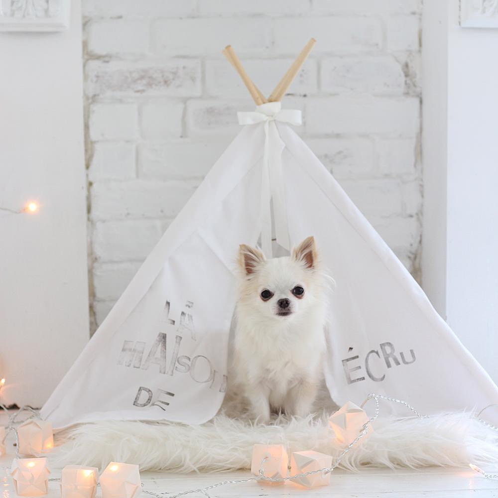 Собака и дача: Как не только выжить, но и отдохнуть