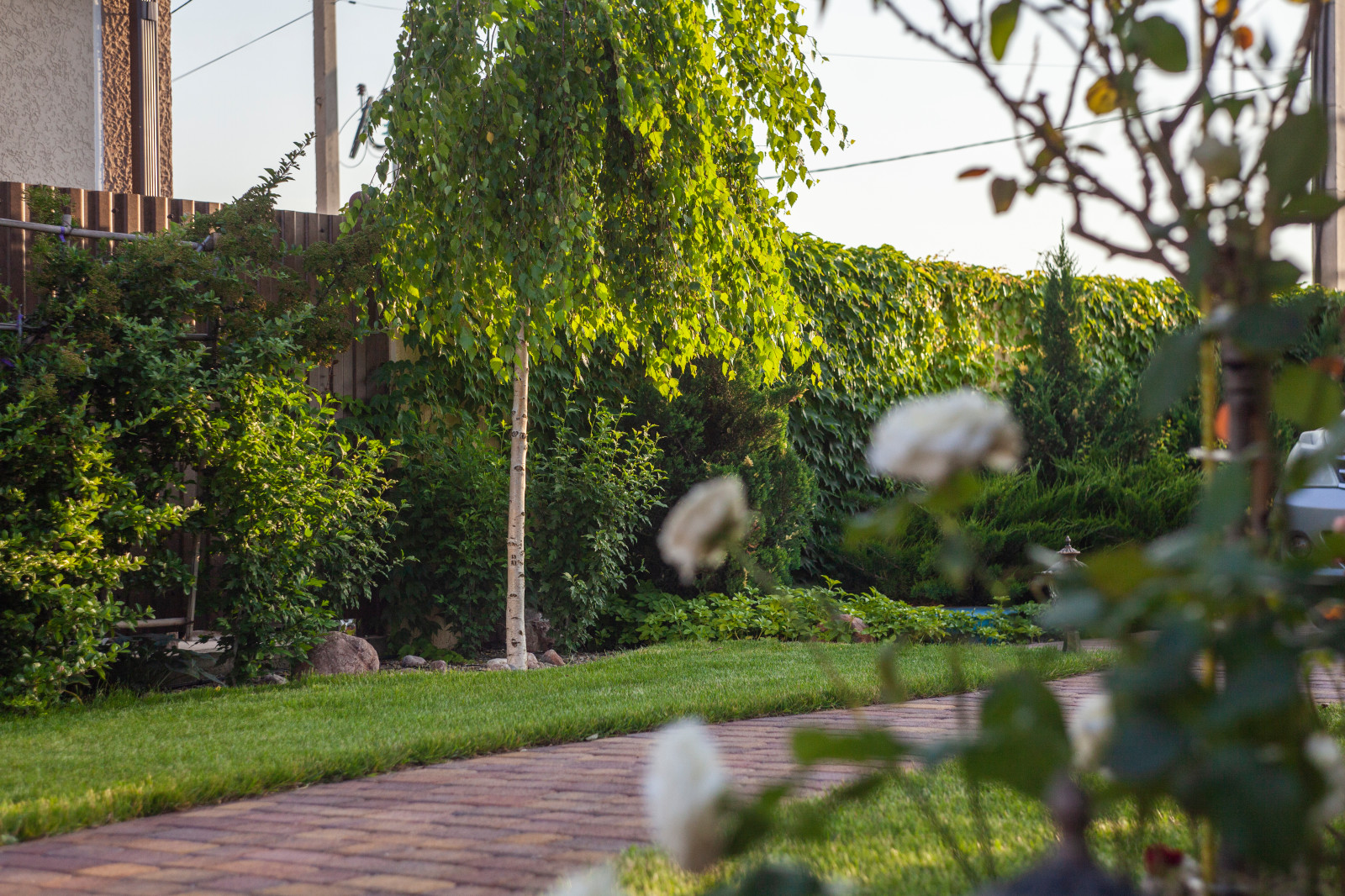 Ландшафтный дизайн в Новороссийске