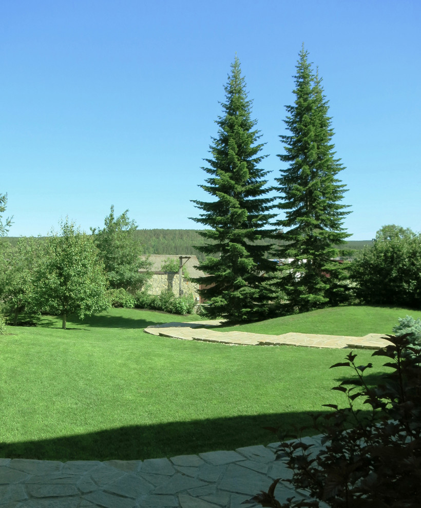 Сад с большими пихтами