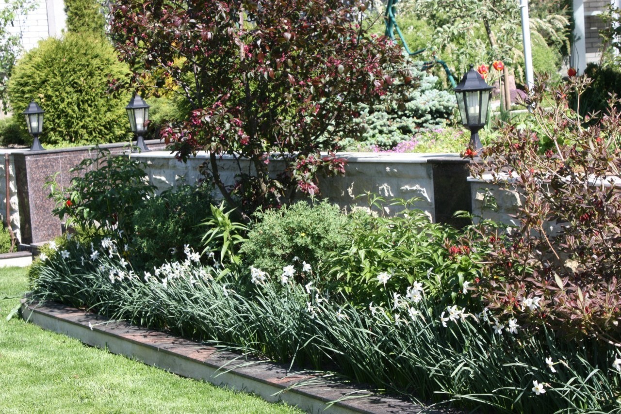 Участок в Парголово