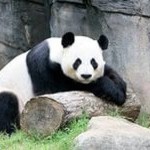 Кристина Прокофьева