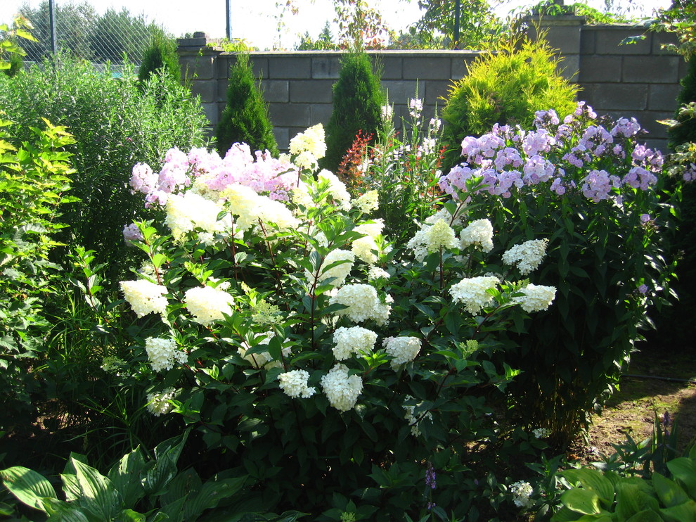 Сад в английском стиле