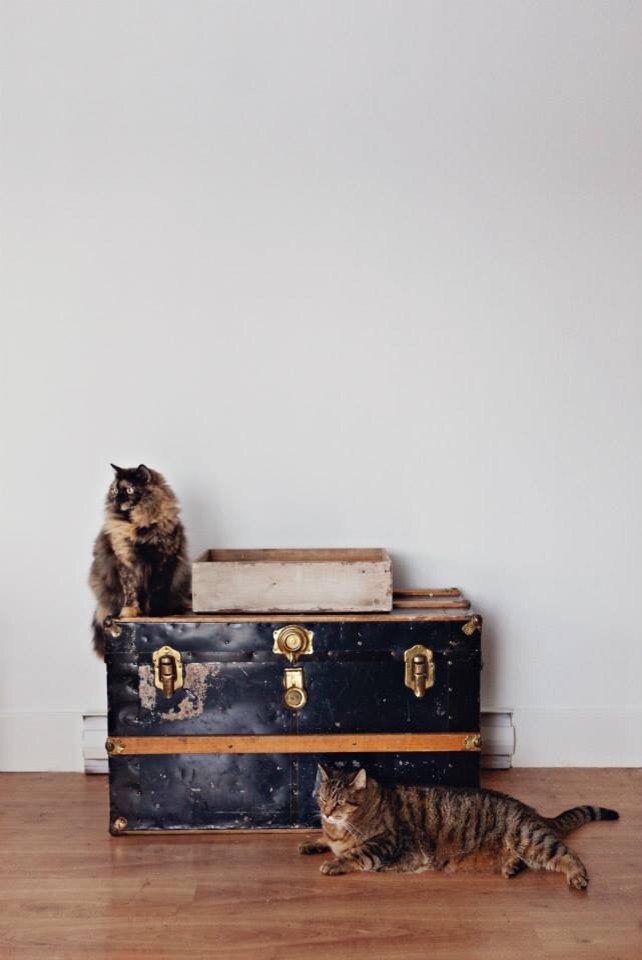 Как правильно: Разобрать гардероб со стилистом