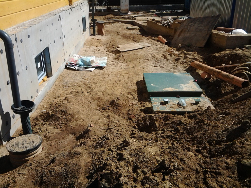 Благоустройство и озеленение участка 50 соток  на Дмитровском шоссе.