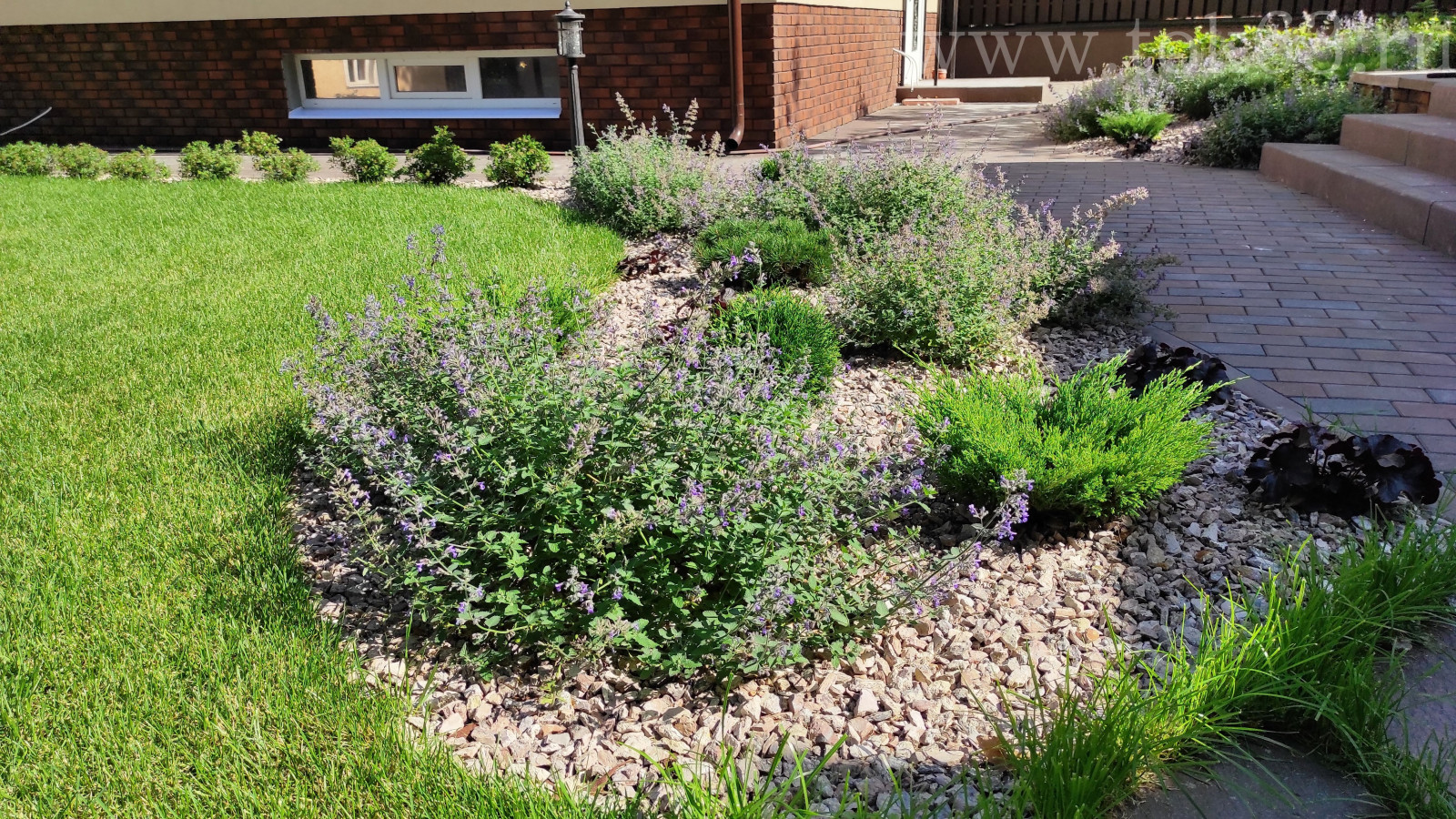 Объект 11 соток. Реализация 2020