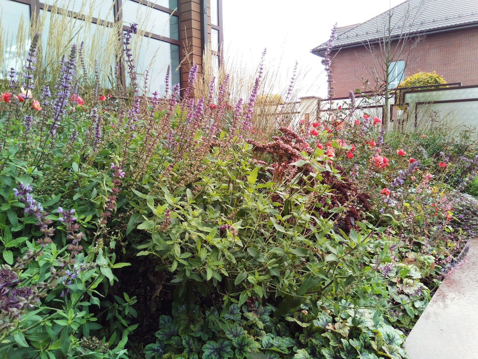 кп "Мартемьяново" - Профессиональный уход за садом - 100% качество!