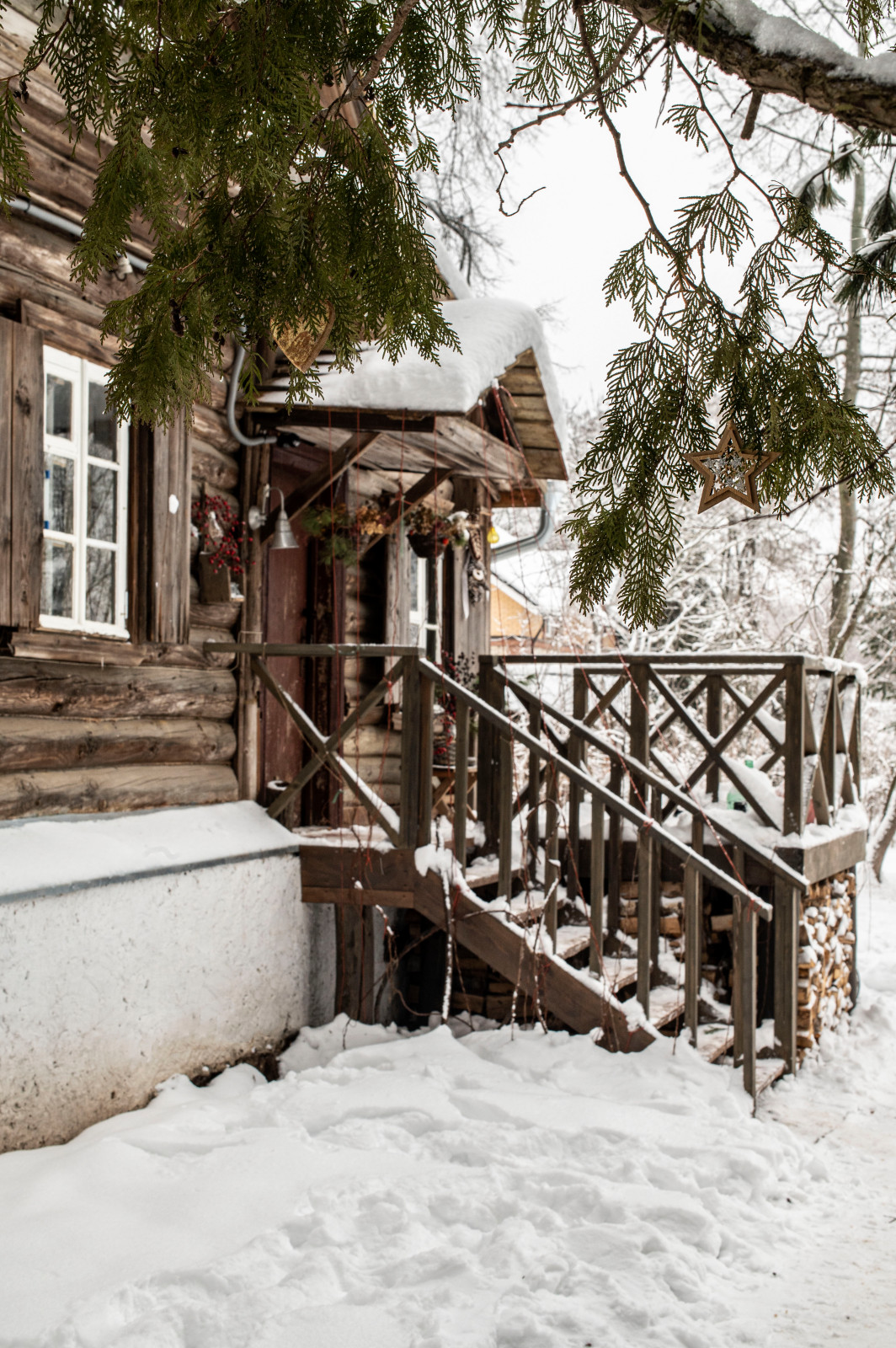 Женя Жданова Таруса, Сад Ракицкого
