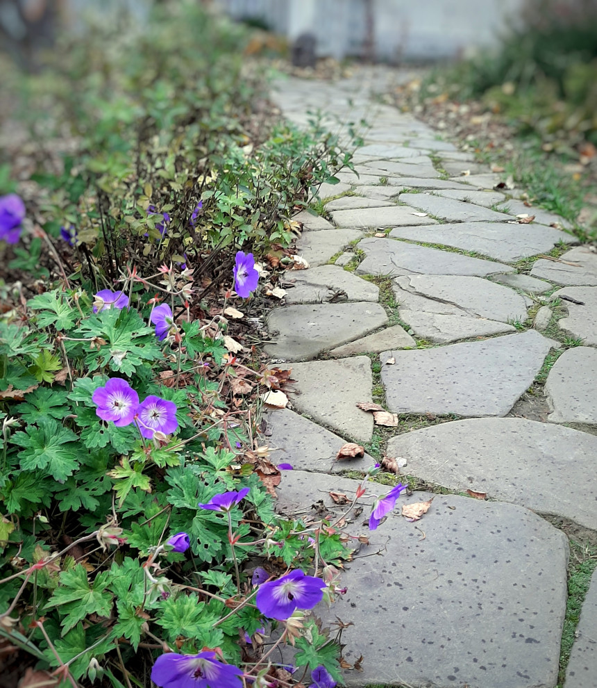 Природный сад