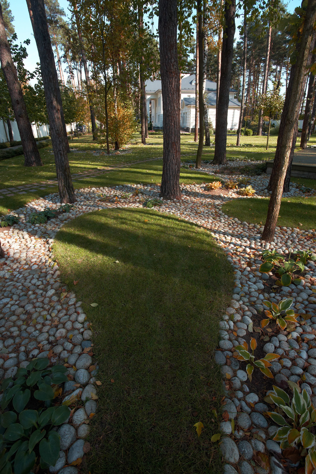 Каменистые ленты